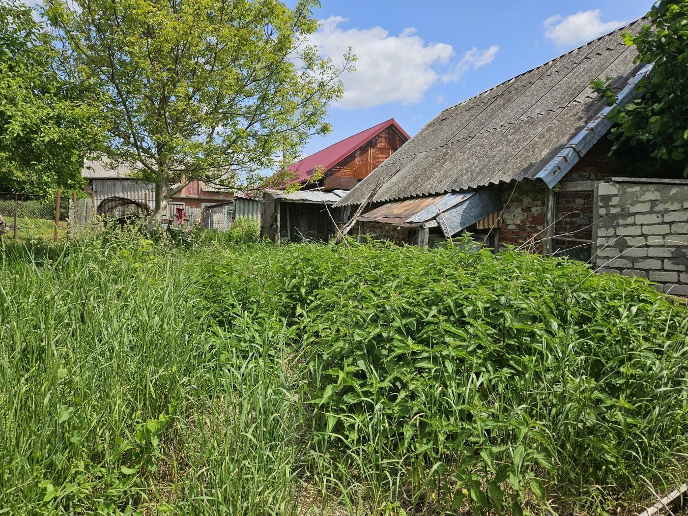 1836524637791405.jpg