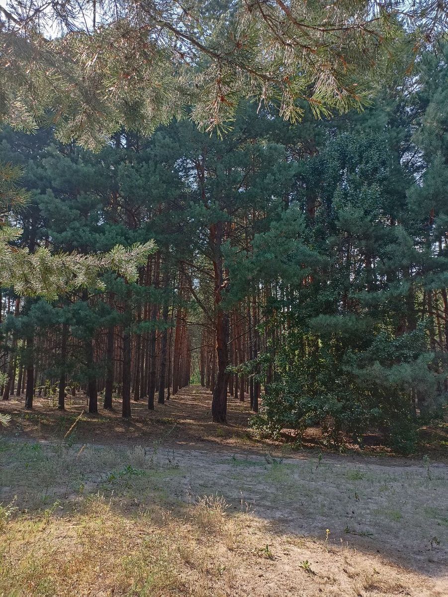 1835538260972408