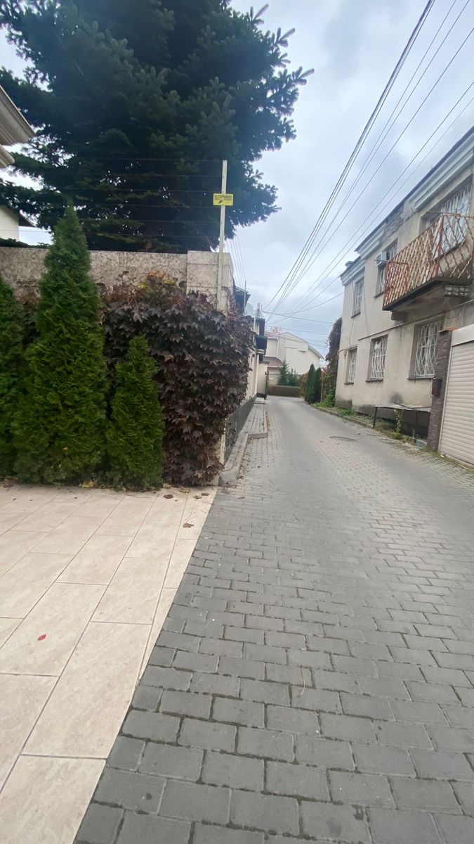 1827453024124409
