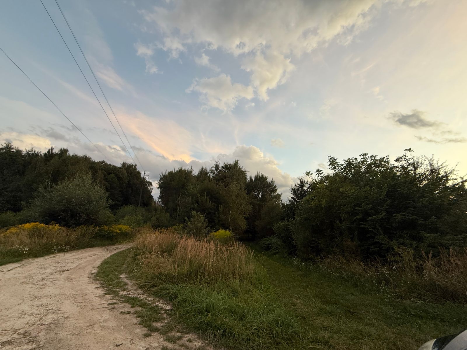 1841709746173413
