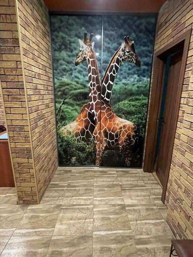 1834628636269423