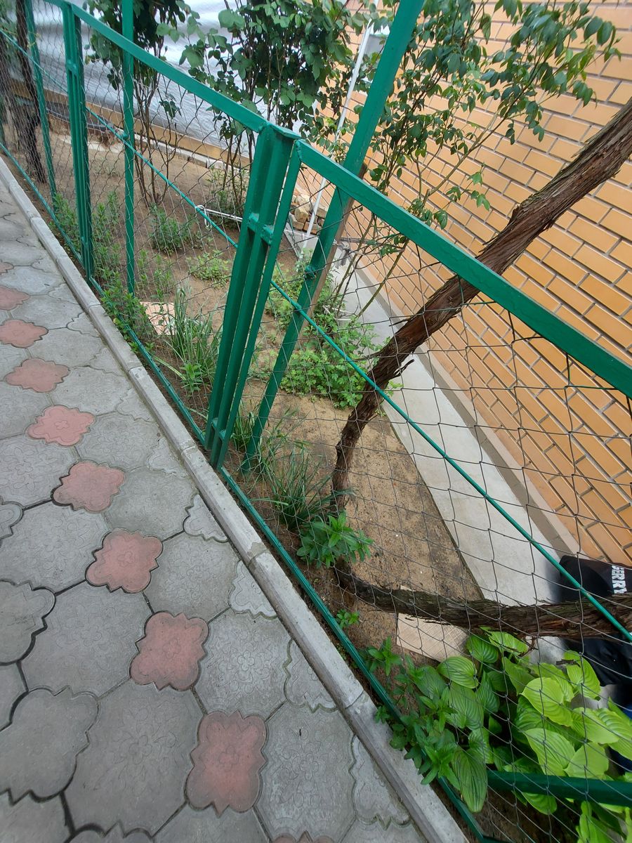 1832067648635425