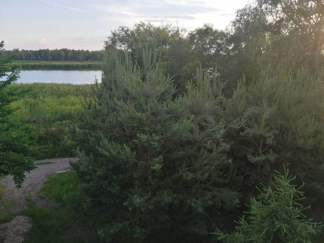 1767333677447428