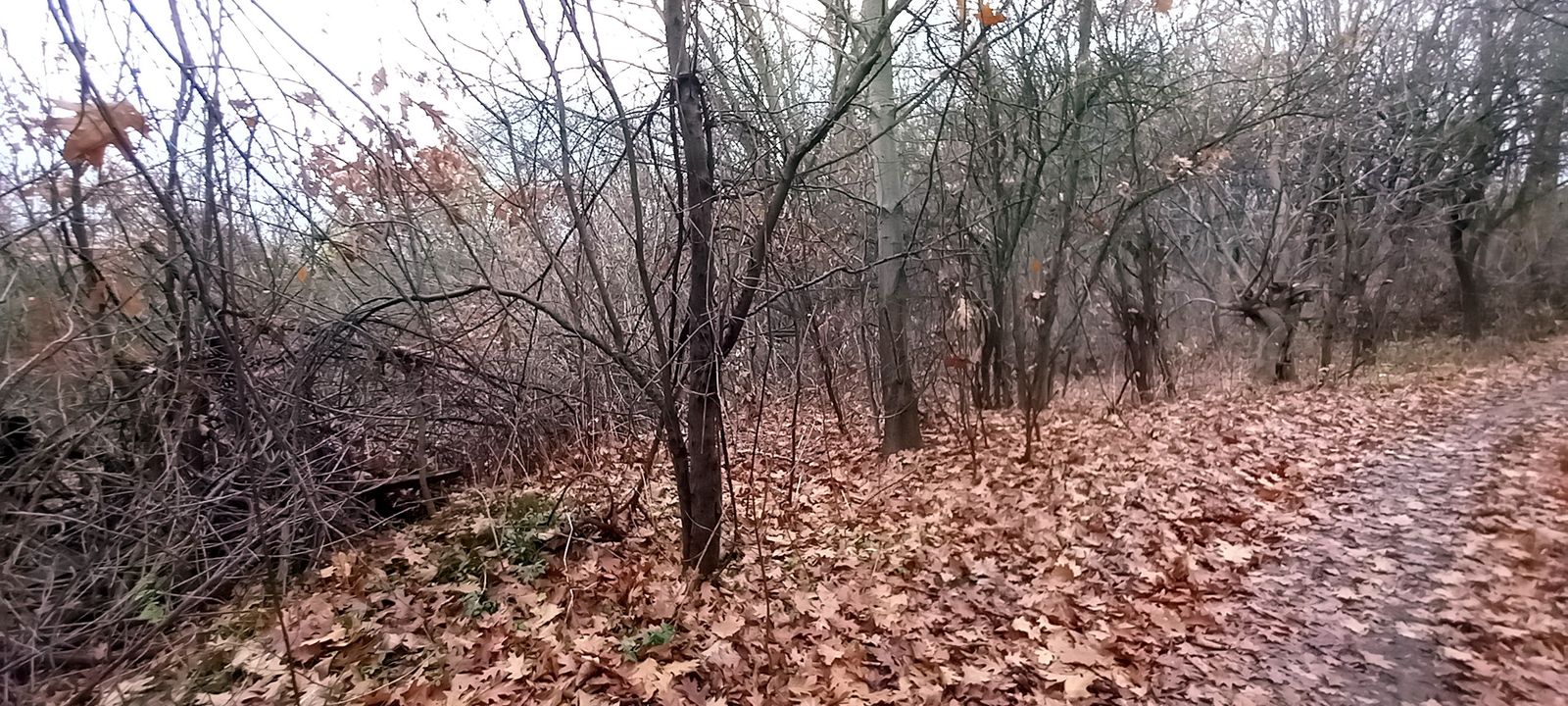 1834185738382428
