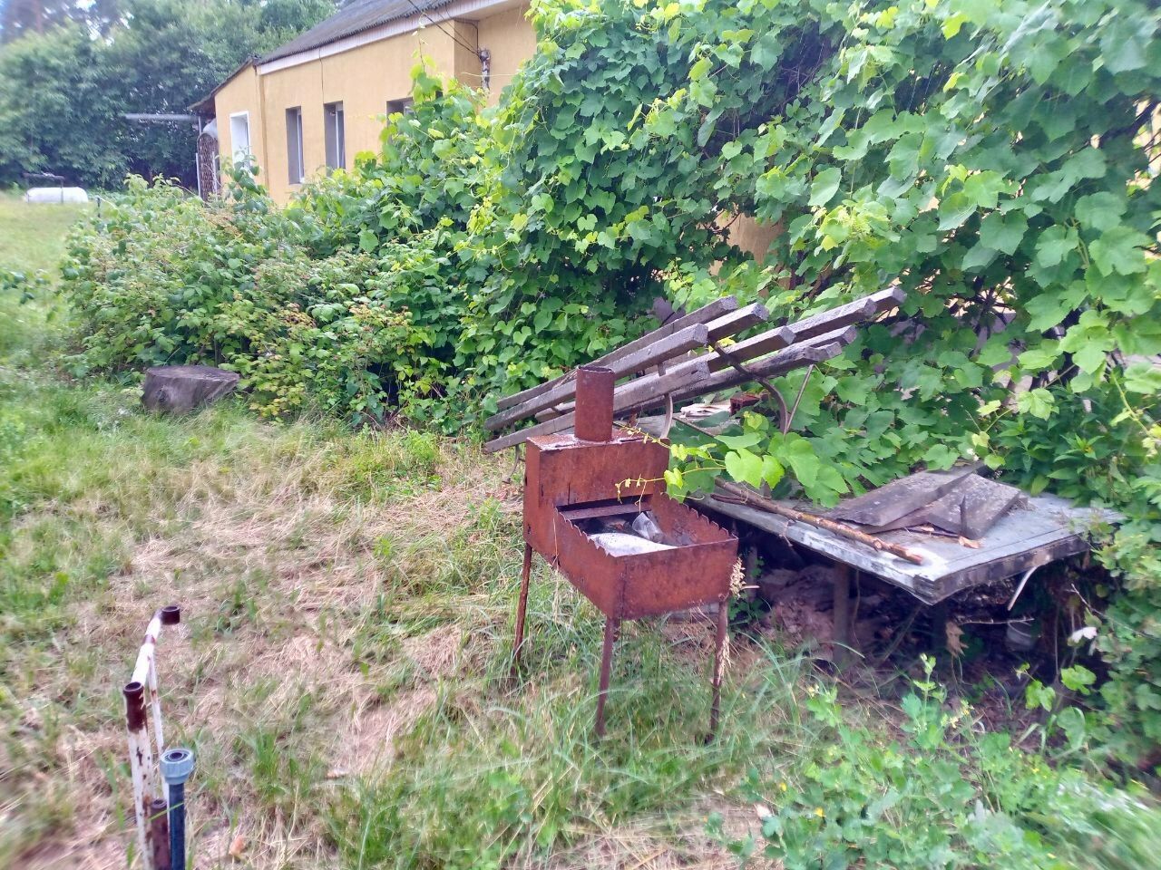 1836699884581428