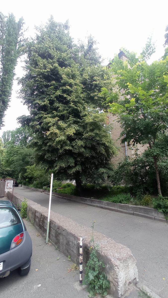 1835163053747429