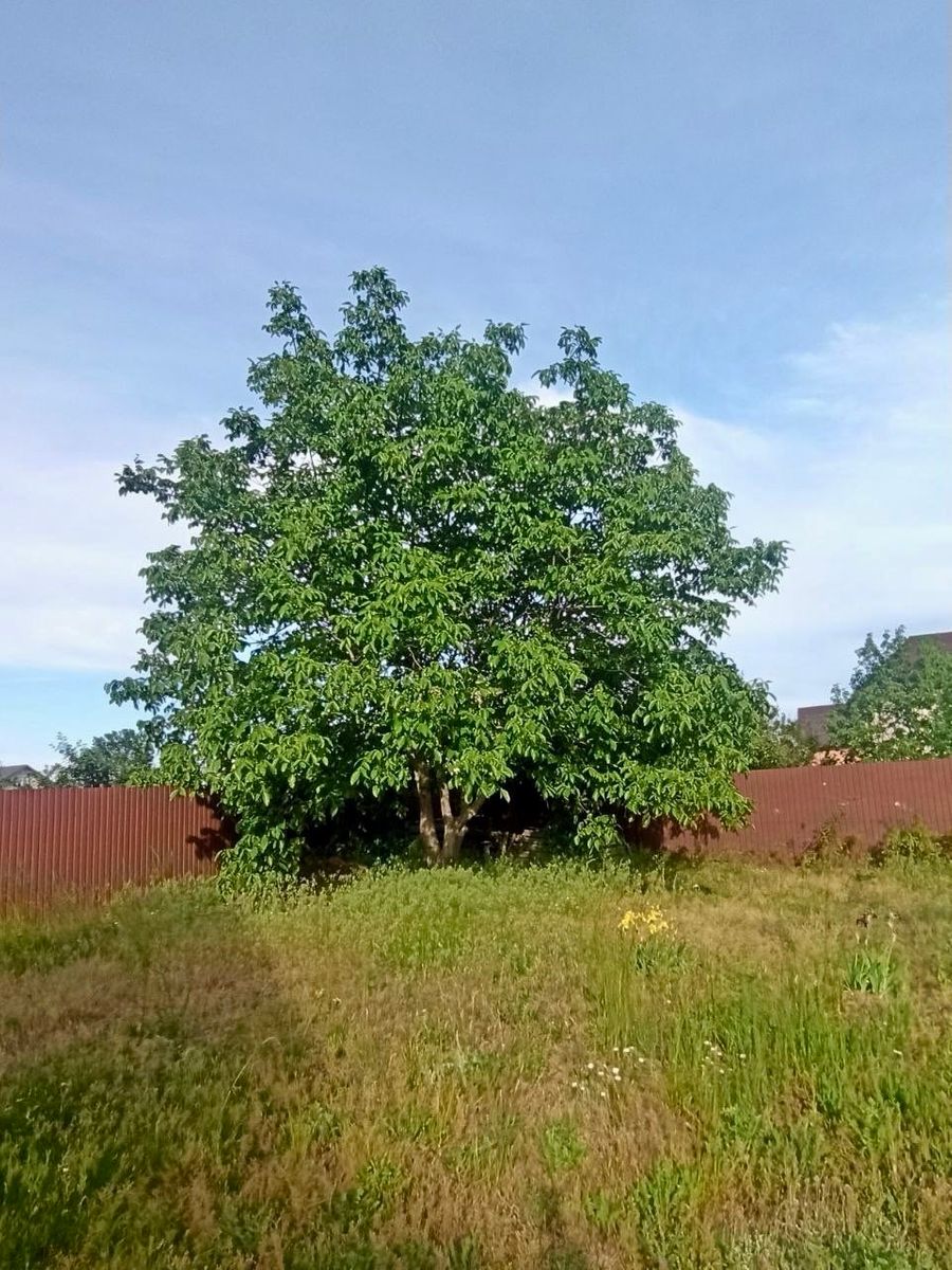 1832739287437431