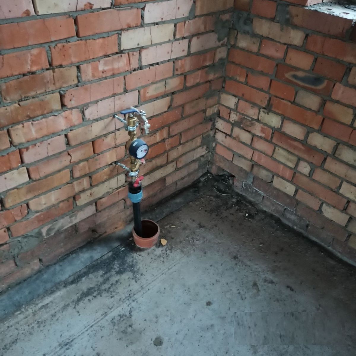 1836346701676436