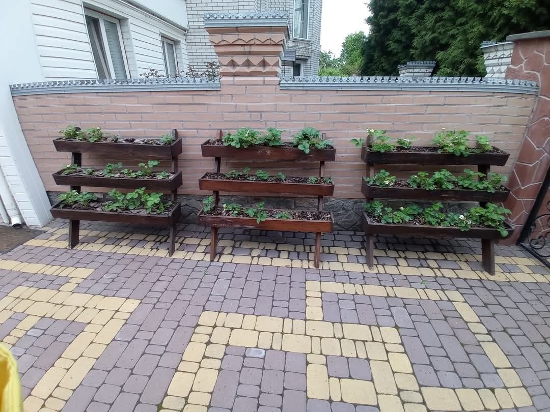 1837227348881044