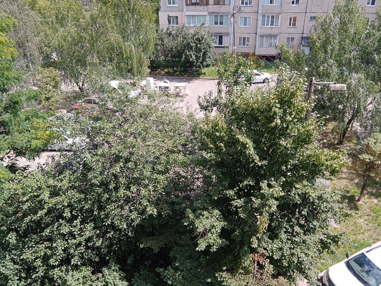 1839690108127444