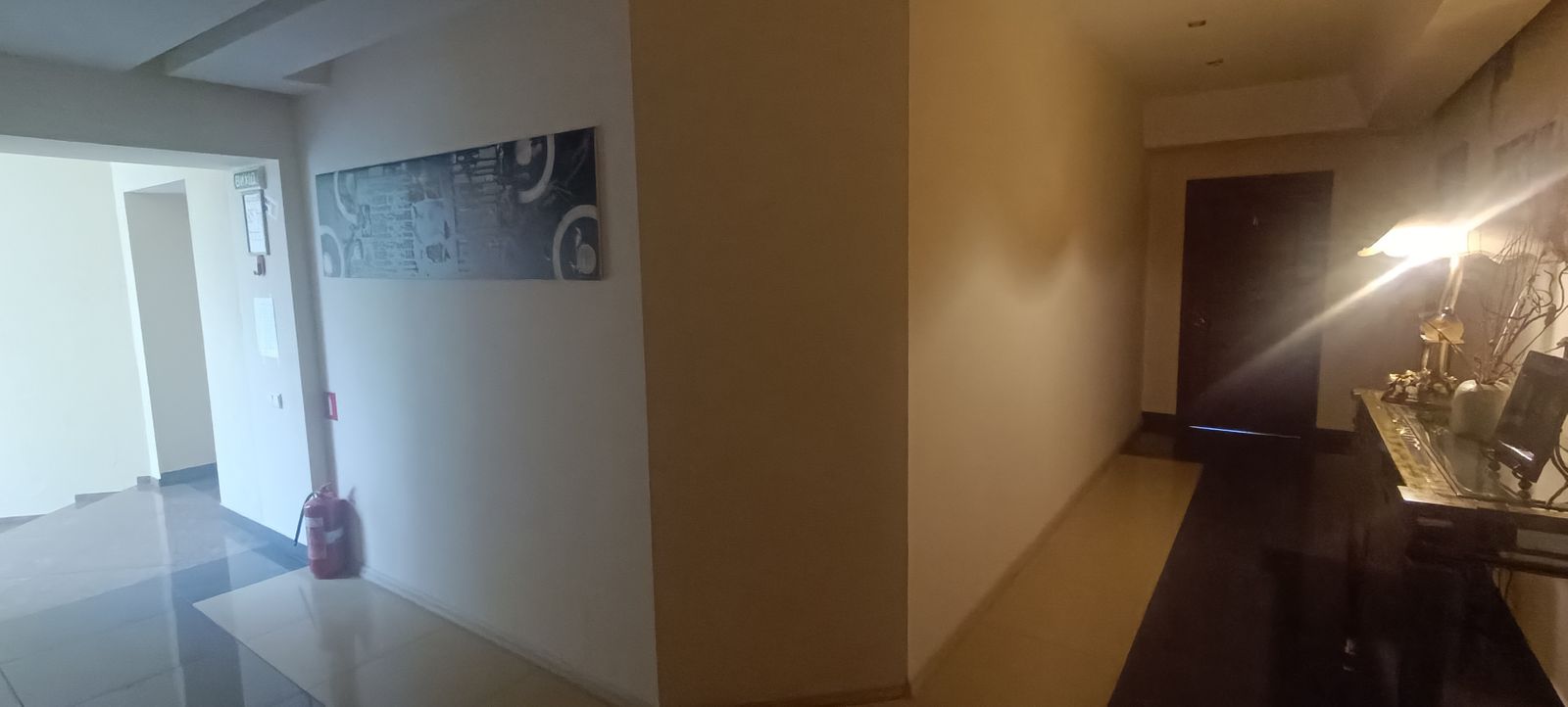 1835371496995045