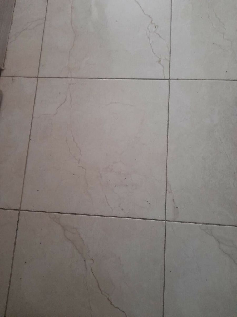 1836917899254450