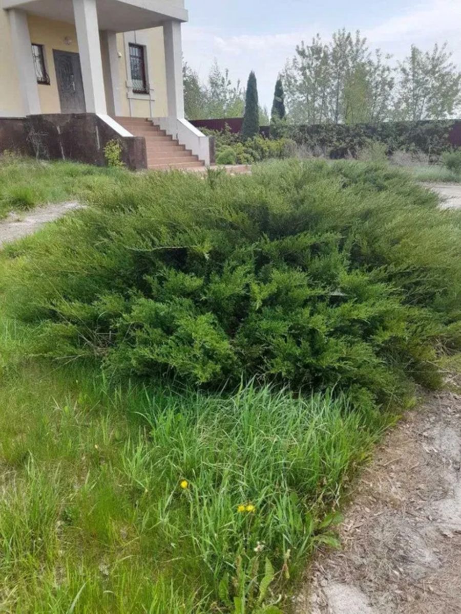 1836479640865455