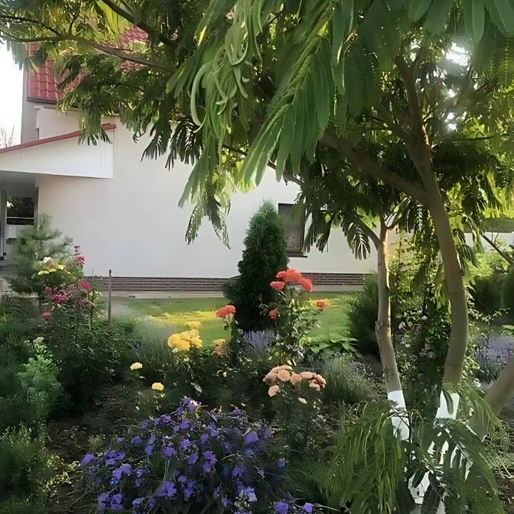 1830819359054457