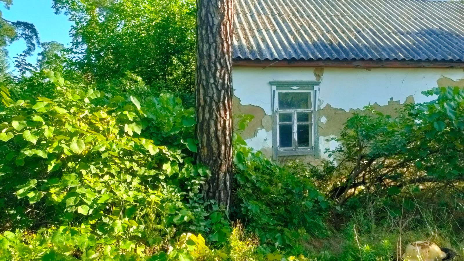 1840268453298457