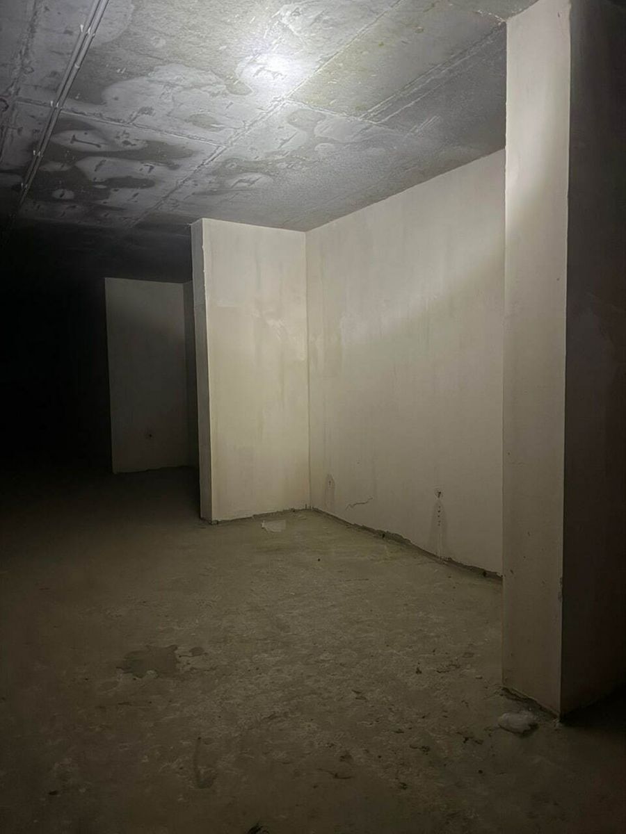 1831208249596460