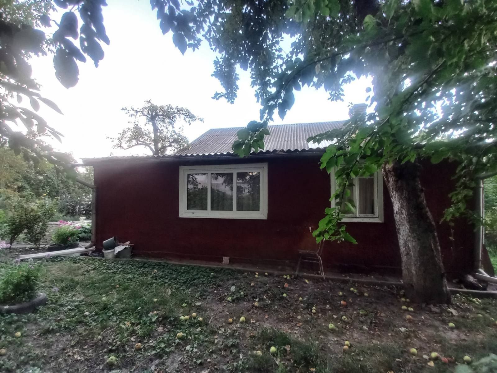 1842414460434460