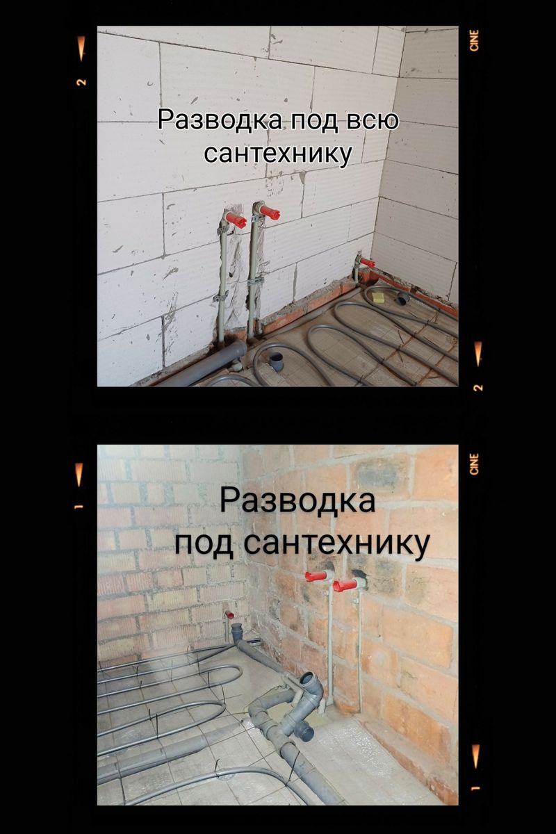 1832855438403463
