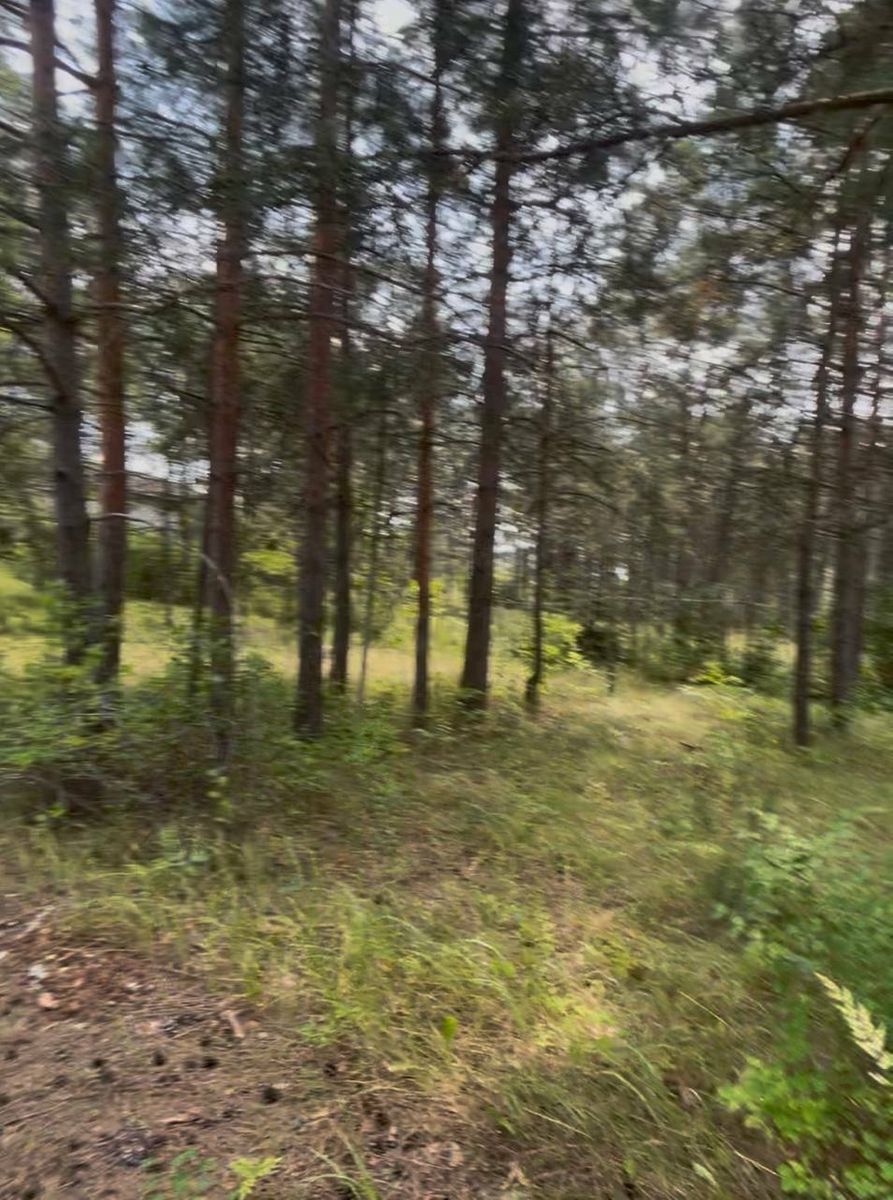 1837891310541467