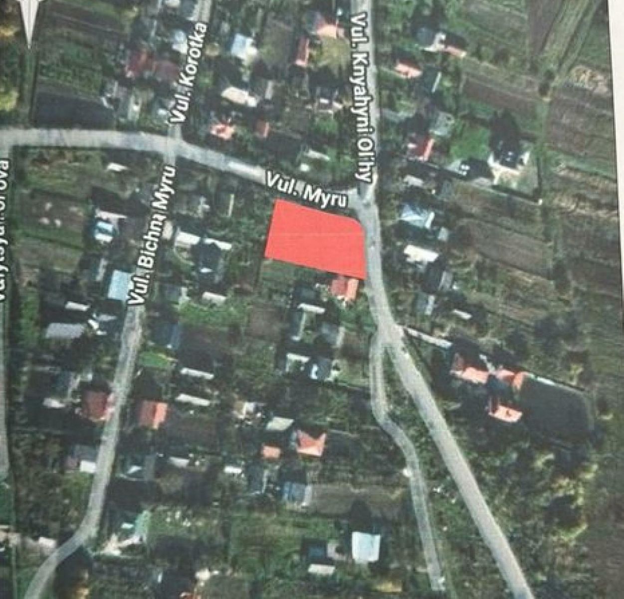 1833447514593489