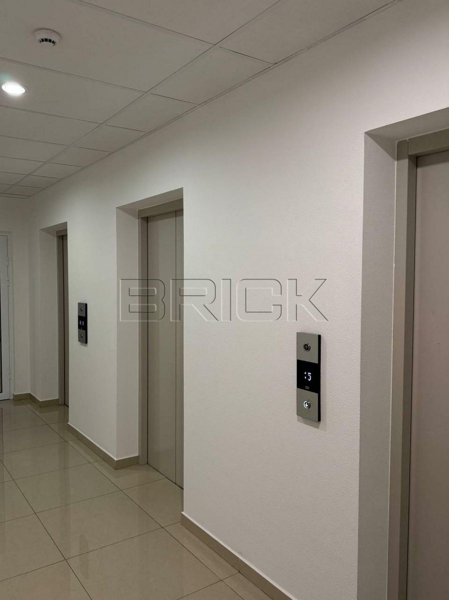 1833462243592494