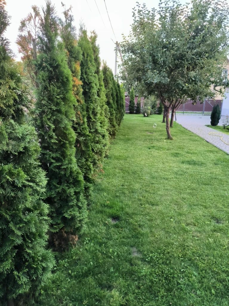 1836989649987504