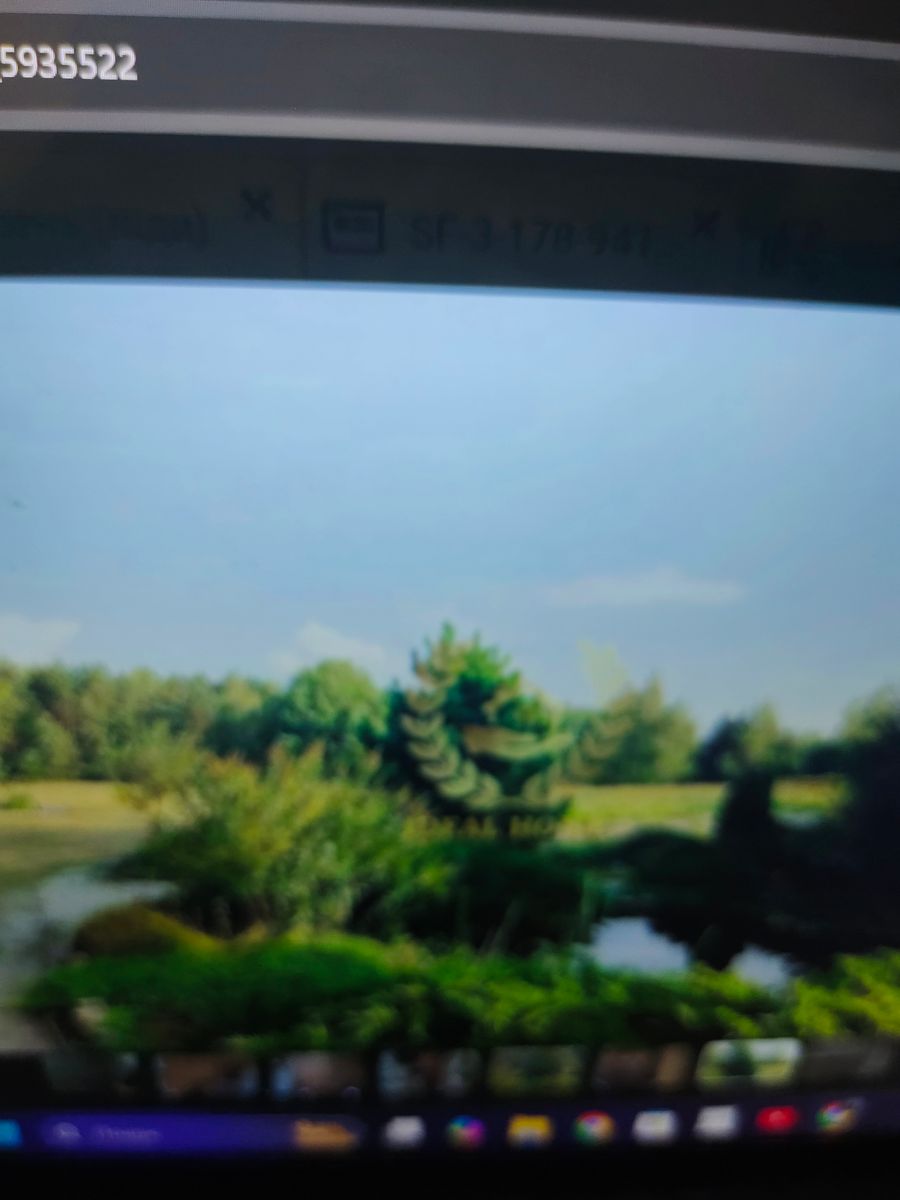 1838983443482506