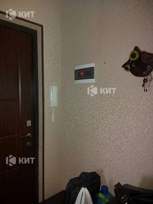 1831281528039507