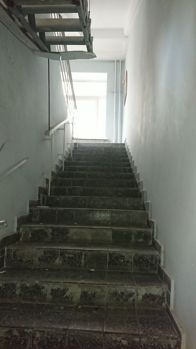 1834173881003051
