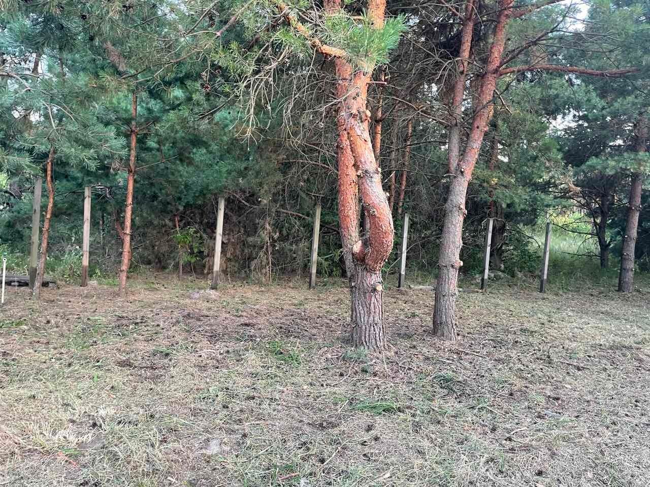 1835569914636051