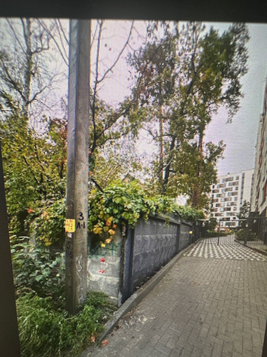 1838982718620516