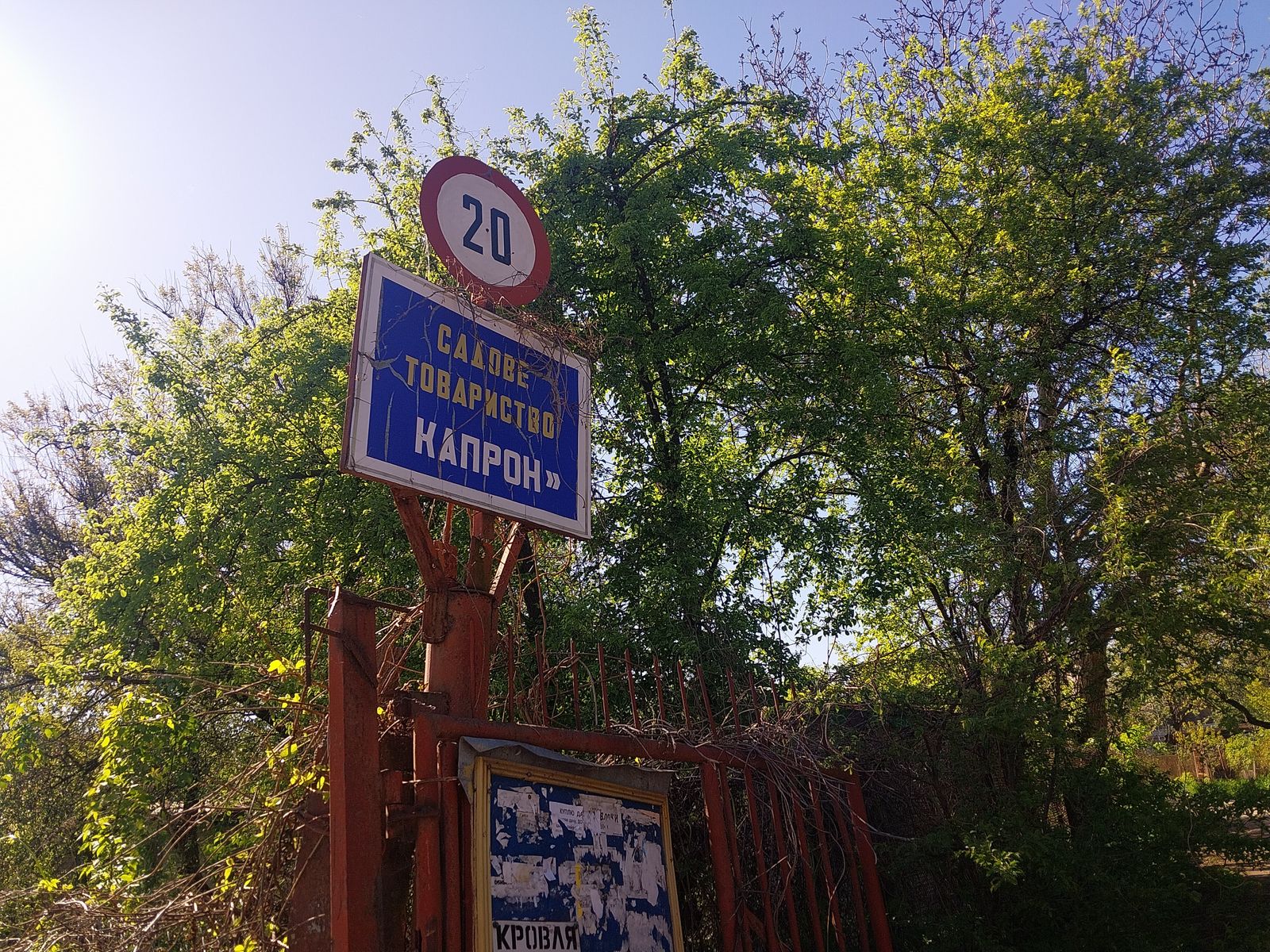 1831319149945518