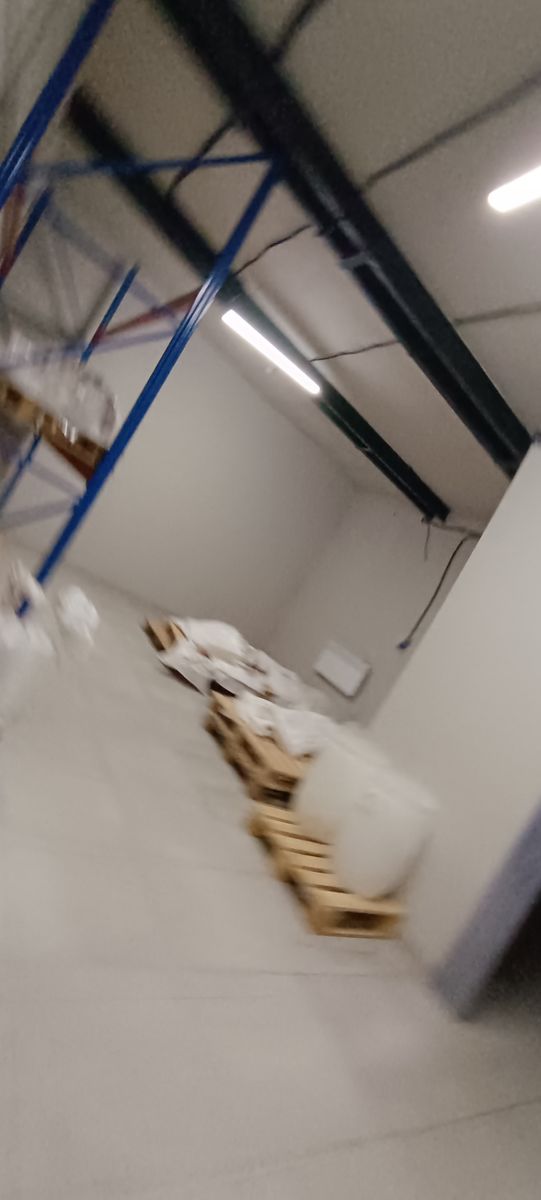 1830853886691052