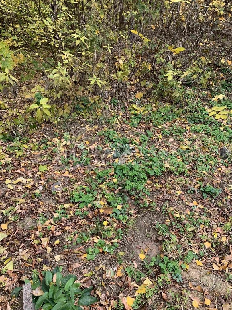 1830914142647533