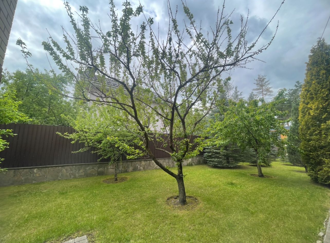1835458530833542