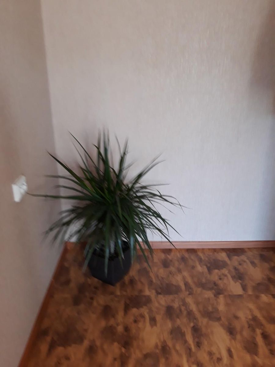 1645584443636543