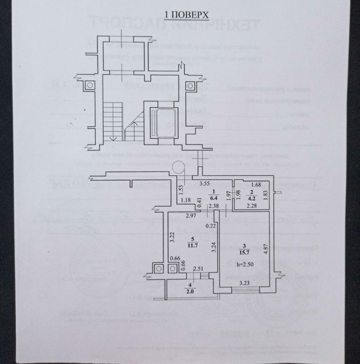 1831470028628055.jpg