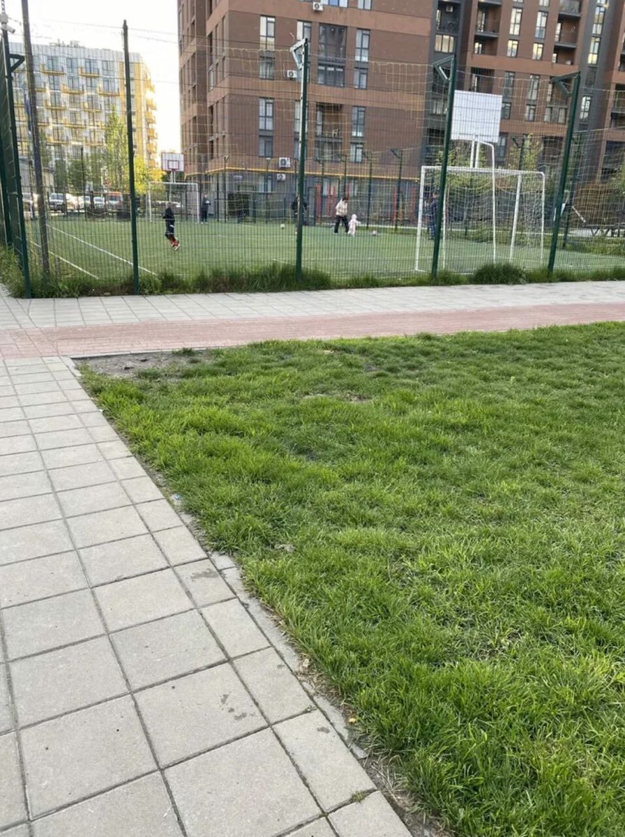 1832558345864551