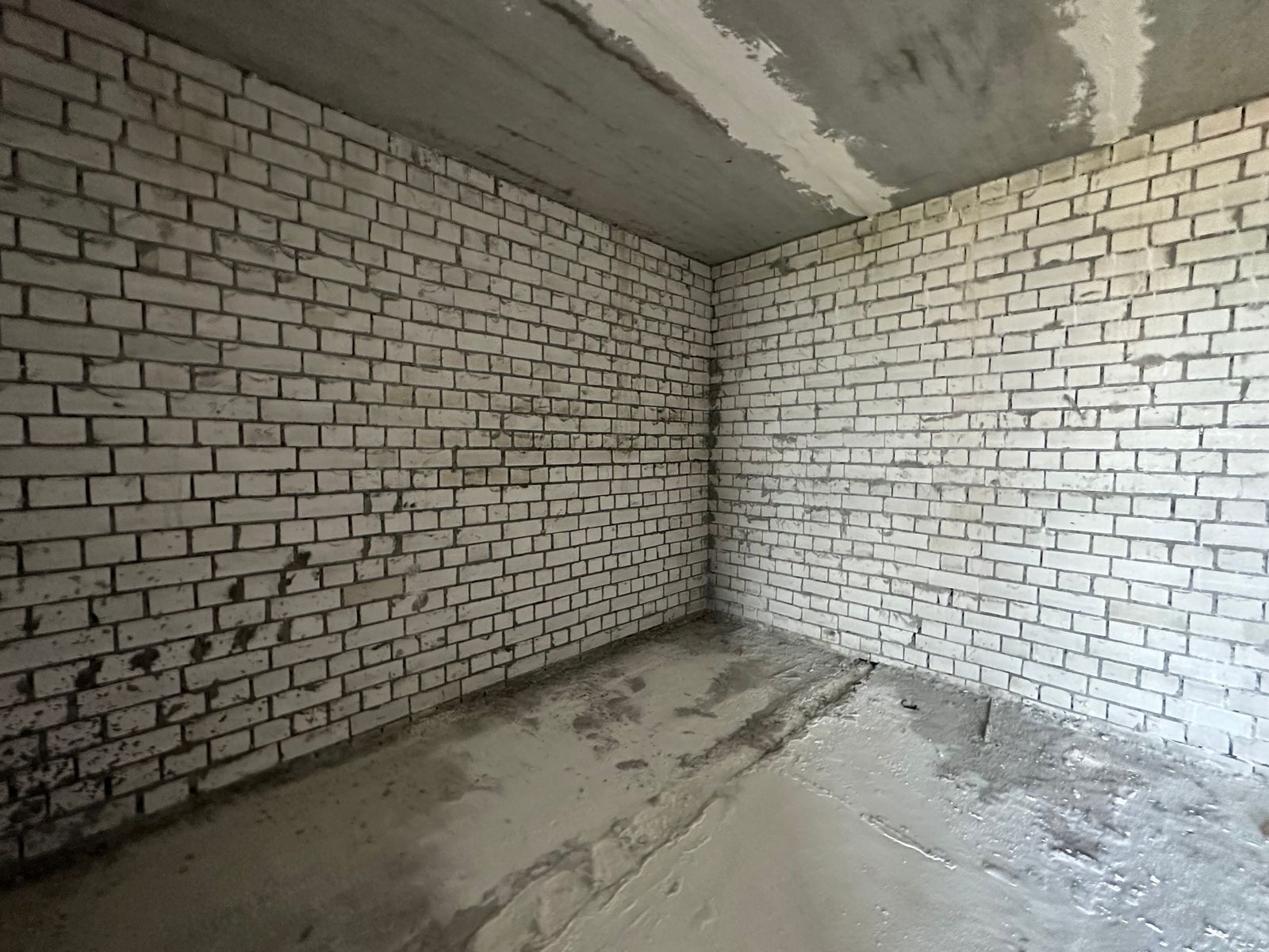 1782467574103555