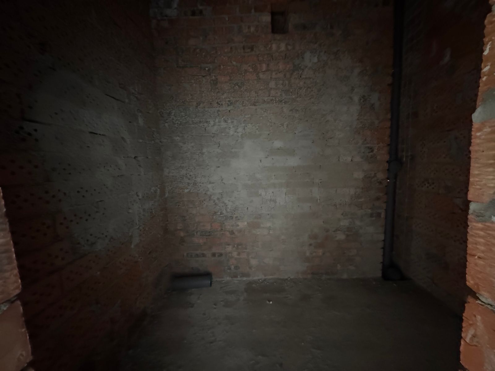 1832907888394556