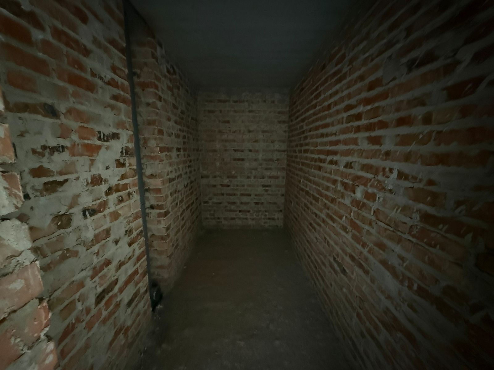1835710687040556