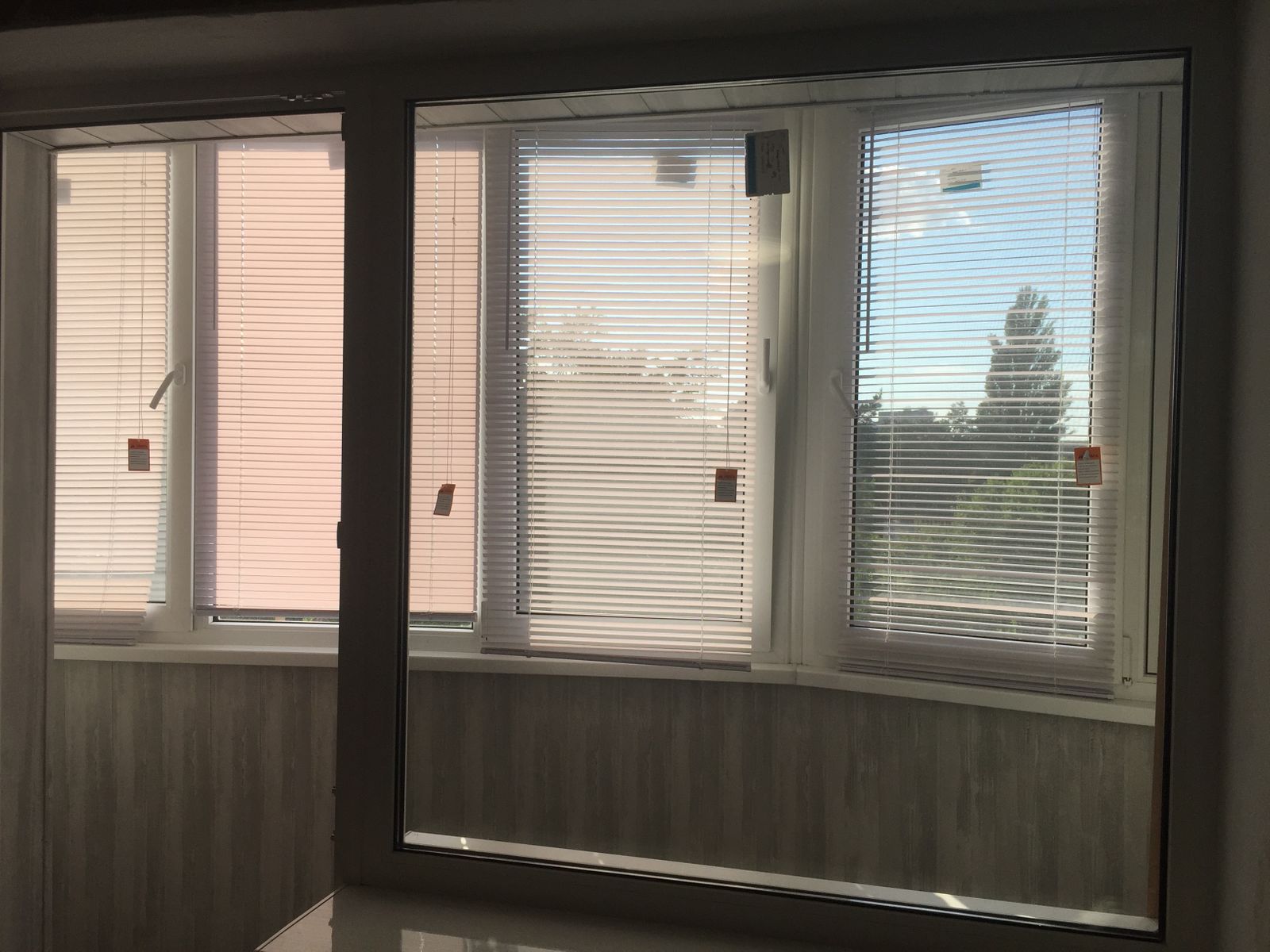 1837291521174556