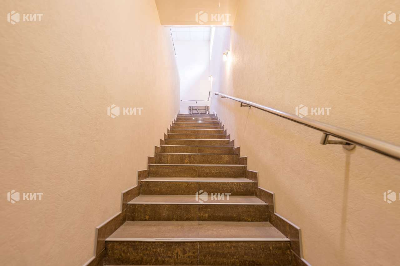 1838971350662556