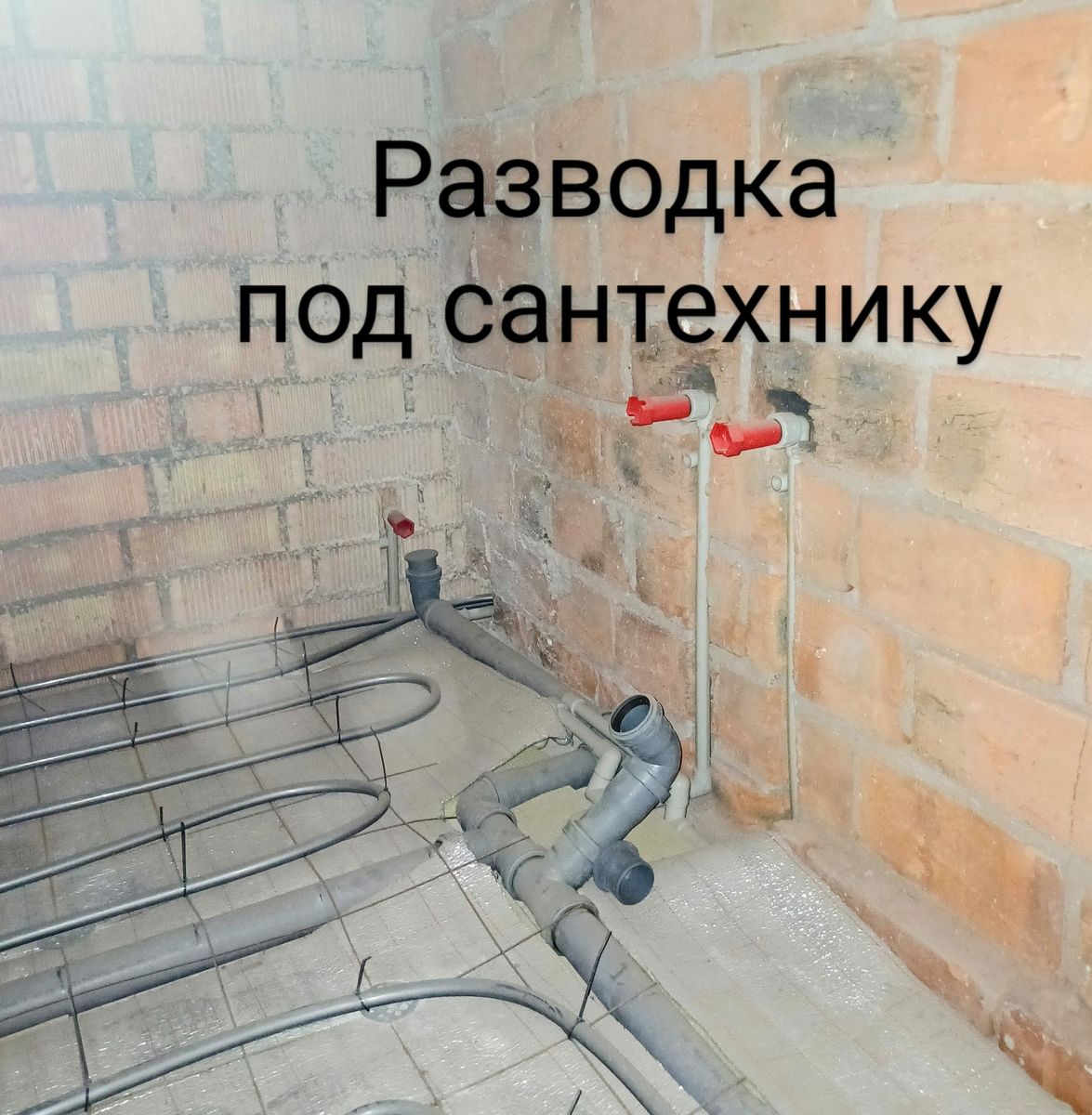 1832855426658557