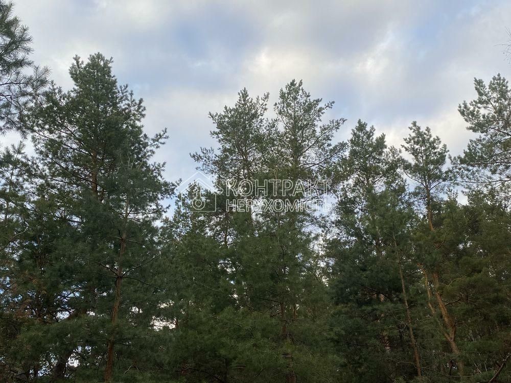 1838250043141561