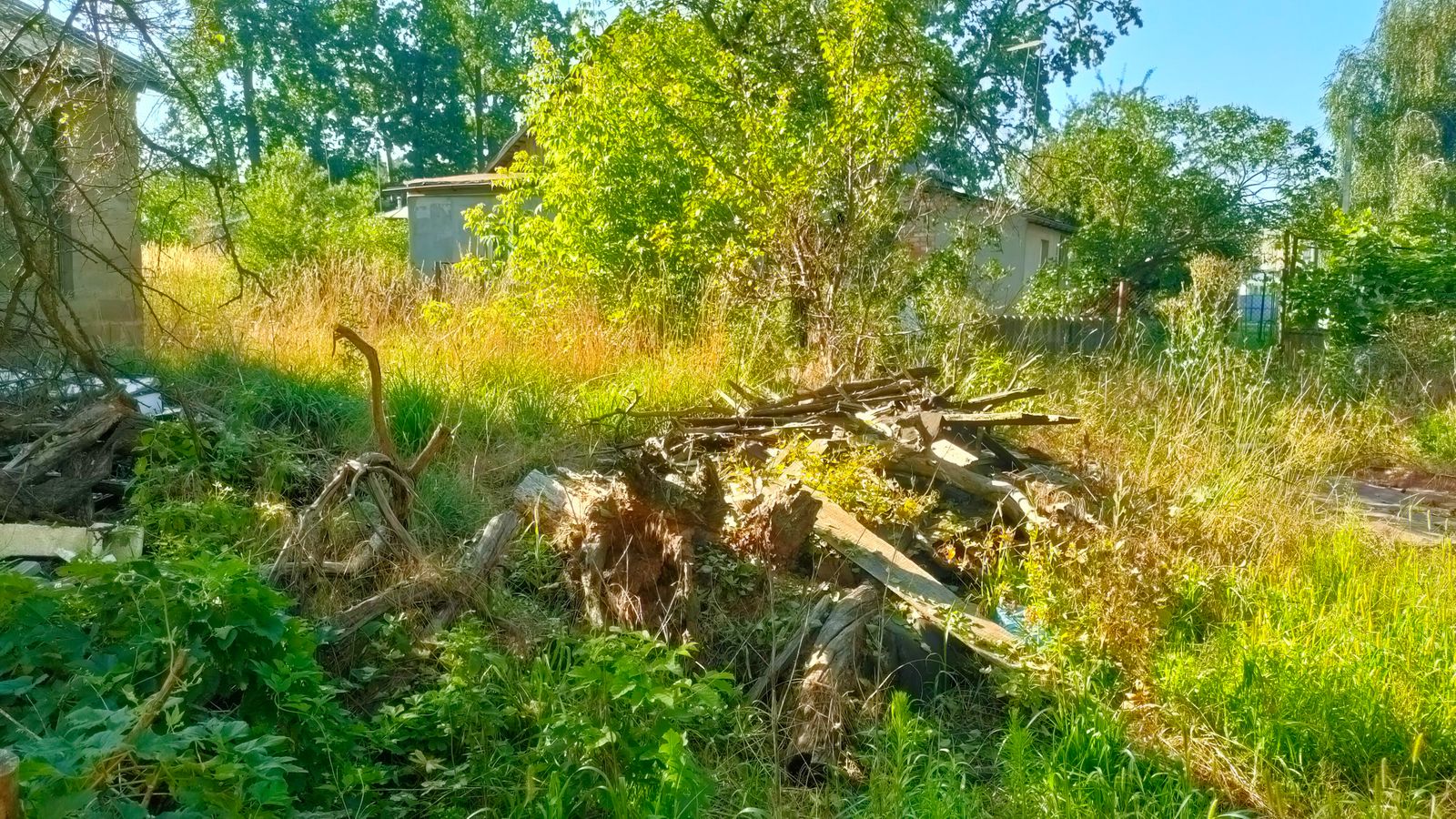 1840268455647566