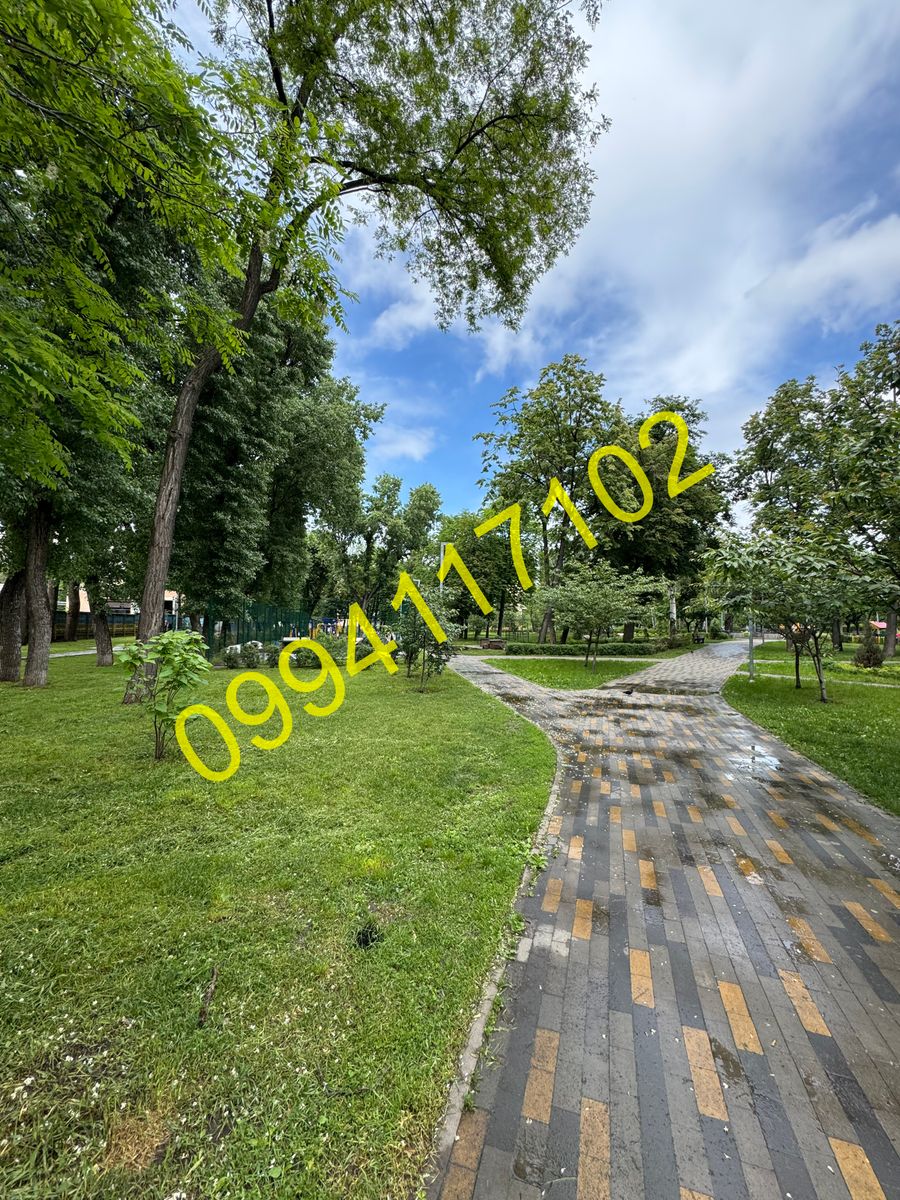 1833538184663569