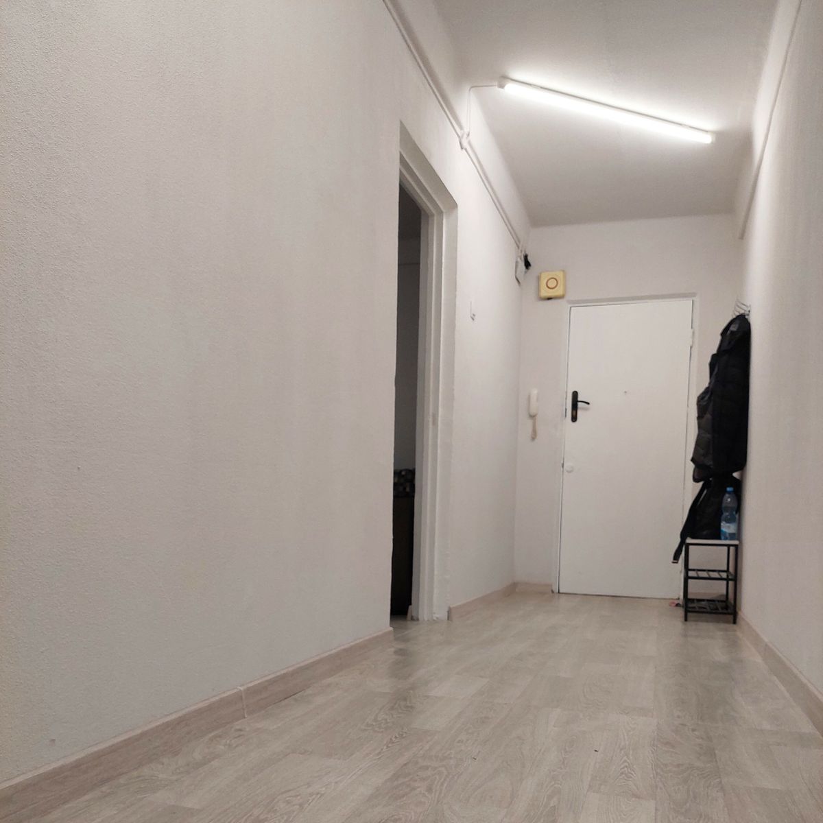 1820870445555057