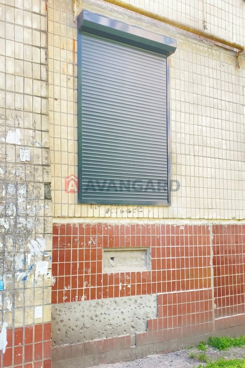 1832095672894579