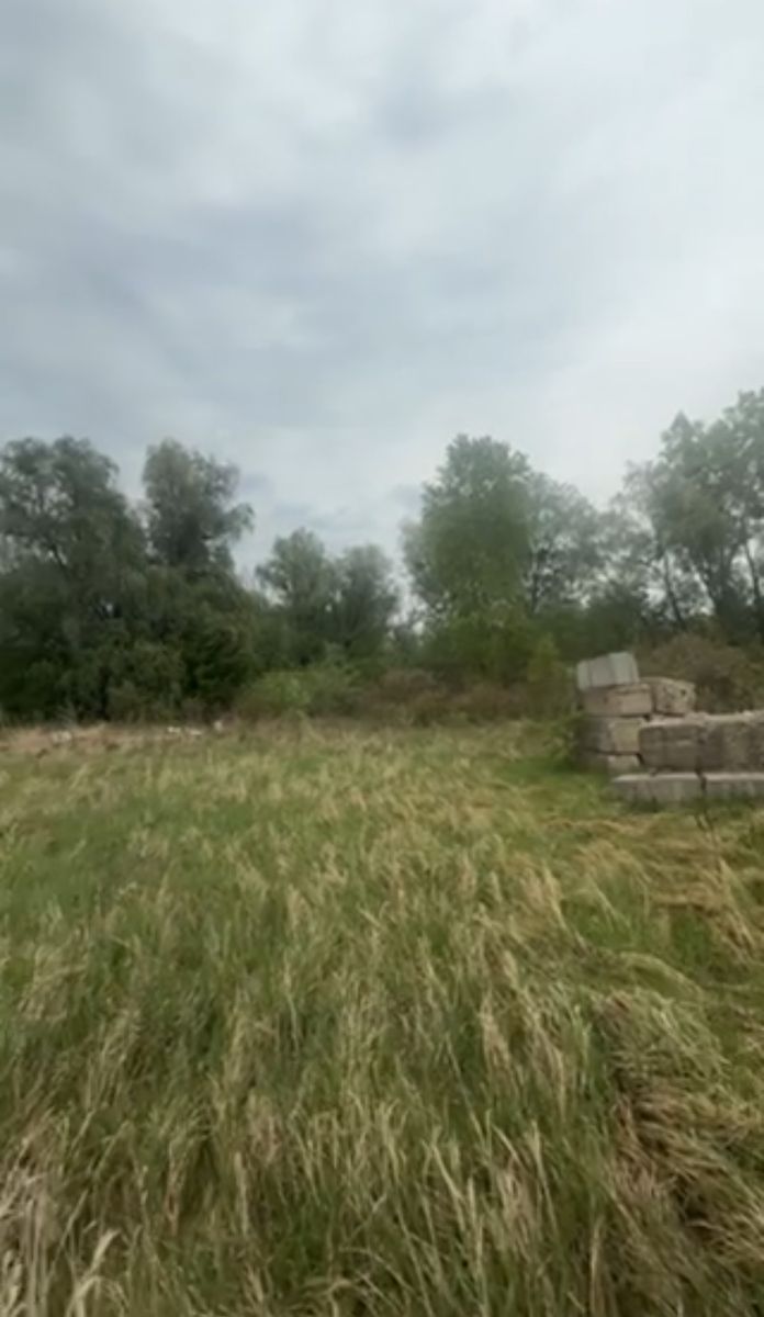 1835290638941058
